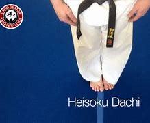 Image result for Heisoku Dachi