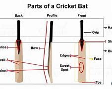 Image result for Cricket Bat Parts