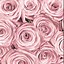 Image result for Rose Gold Flower Background