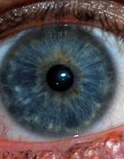 Image result for Retina Iris