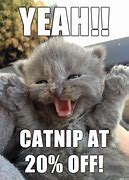 Image result for Celebrate Cat Meme