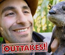 Image result for Otter Pouch