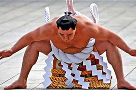 Image result for Grand Sumo Wallpaper