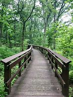 Image result for A Park Near Me
