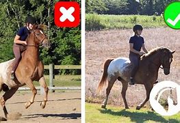 Image result for Horse Riding No Saddle