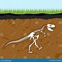 Image result for Dino Bones