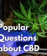 Image result for http the cbd blogs