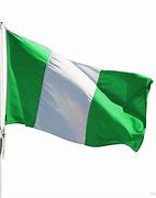 Image result for Nigeria Flag