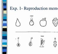 Image result for Reproductive Memory