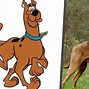 Image result for Scooby Doo Characters Dog