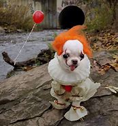 Image result for Scary Dog PFP