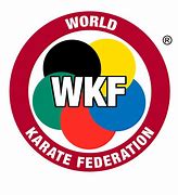 Image result for Karate Kumite WKF
