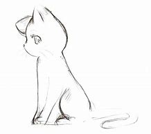 Image result for Manga Cat Drawing