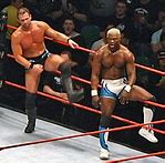Image result for Wrestling
