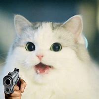 Image result for Cat Holding Gun Meme