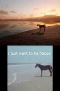 Image result for Horse Looking at Sea Meme