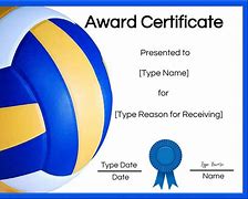 Image result for Volley Ball Award