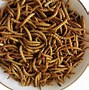 Image result for Mealworm Protein