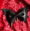 Image result for Cartoon Bat in Hair