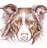 Image result for Color Pencil Dog Drawings