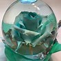 Image result for Real Forever Roses
