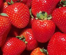 Image result for Strawberry Fruit