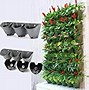 Image result for Wall Planter