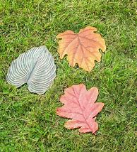 Image result for Leaf Stepping Stones