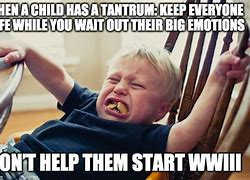Image result for Throwing a Tantrum Meme