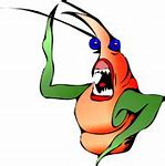 Image result for Cricket Insect Cartoon