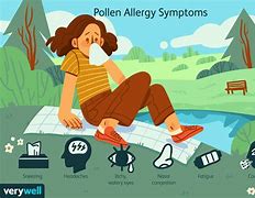 Image result for Alergia