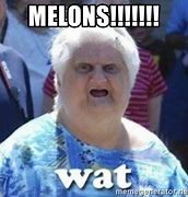 Image result for Melon Woman Meme