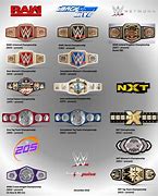 Image result for WWE New Nexus