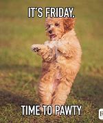 Image result for TGIF Funny