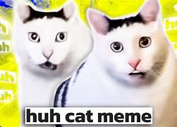 Image result for Cat Says Huh Meme