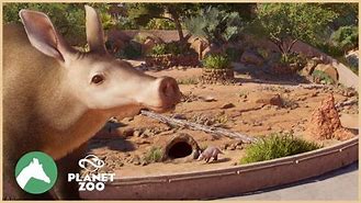 Image result for Planet Zoo Mexico Desert
