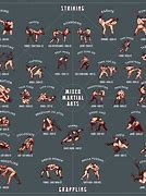 Image result for Martial Arts around the World