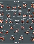 Image result for Different Martial Arts Stances