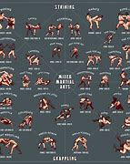 Image result for Different Martial Arts Styles