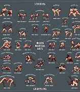 Image result for 7 Types of Boxing Fighting Styles