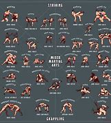 Image result for Cool Fighting Styles