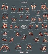 Image result for Grappling Martial Arts List