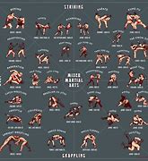 Image result for Grappling Styles