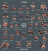 Image result for Different Types of Fight and School IQs