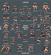 Image result for Different Types of Martial Arts List