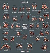 Image result for Fighting Styles in MMA