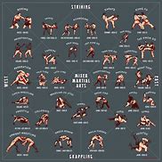 Image result for All Types of MMA Moves Drawing