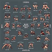 Image result for Grappling Martial Arts Styles