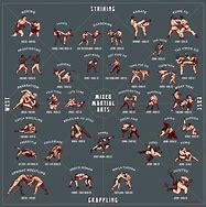 Image result for Different Wrestling Moves