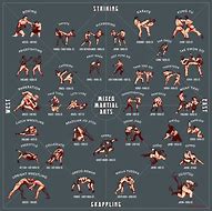 Image result for Martial Arts Comparison Chart